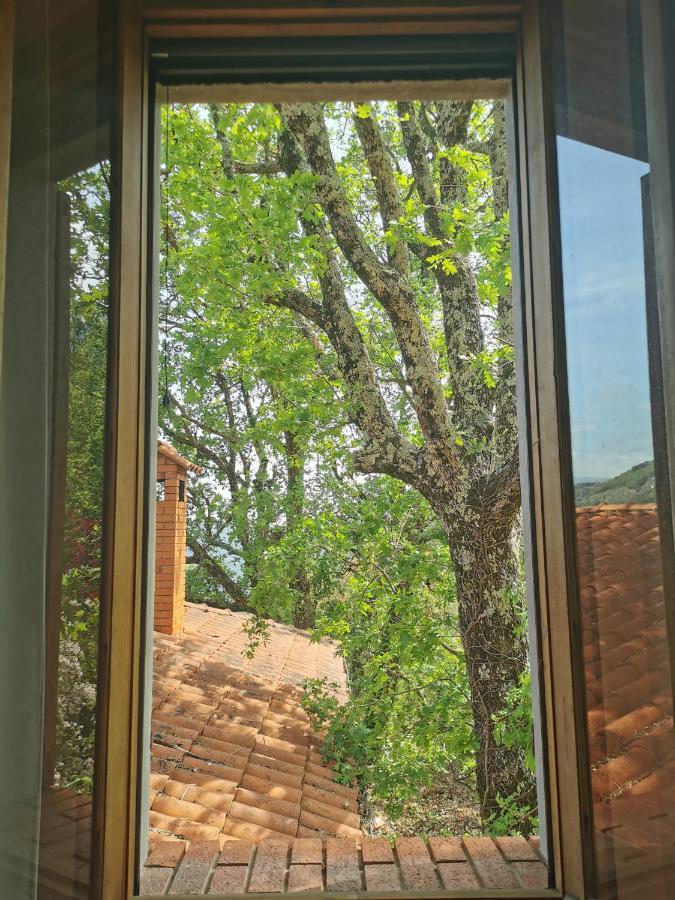L'Albero Del Cioccolato Bed and Breakfast Pigna Εξωτερικό φωτογραφία