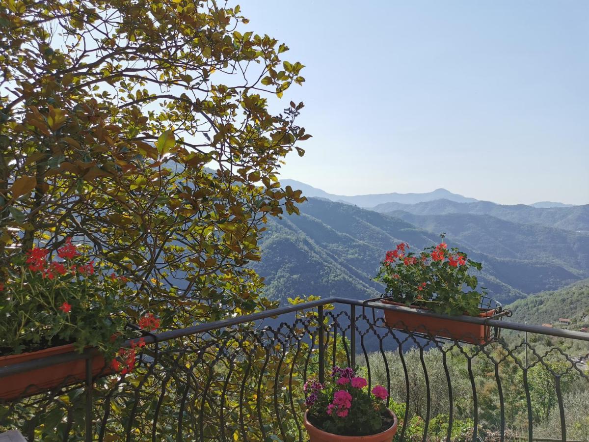 L'Albero Del Cioccolato Bed and Breakfast Pigna Εξωτερικό φωτογραφία